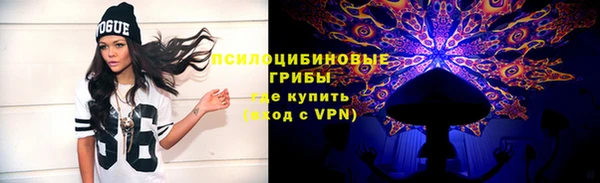 PSILOCYBIN Горно-Алтайск