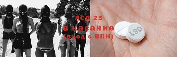 PSILOCYBIN Горно-Алтайск