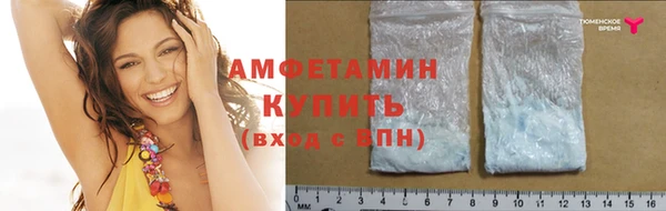 PSILOCYBIN Горно-Алтайск