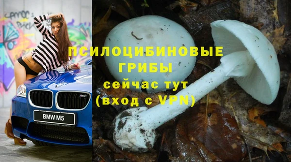 прущая мука Горнозаводск