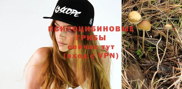 PSILOCYBIN Горно-Алтайск